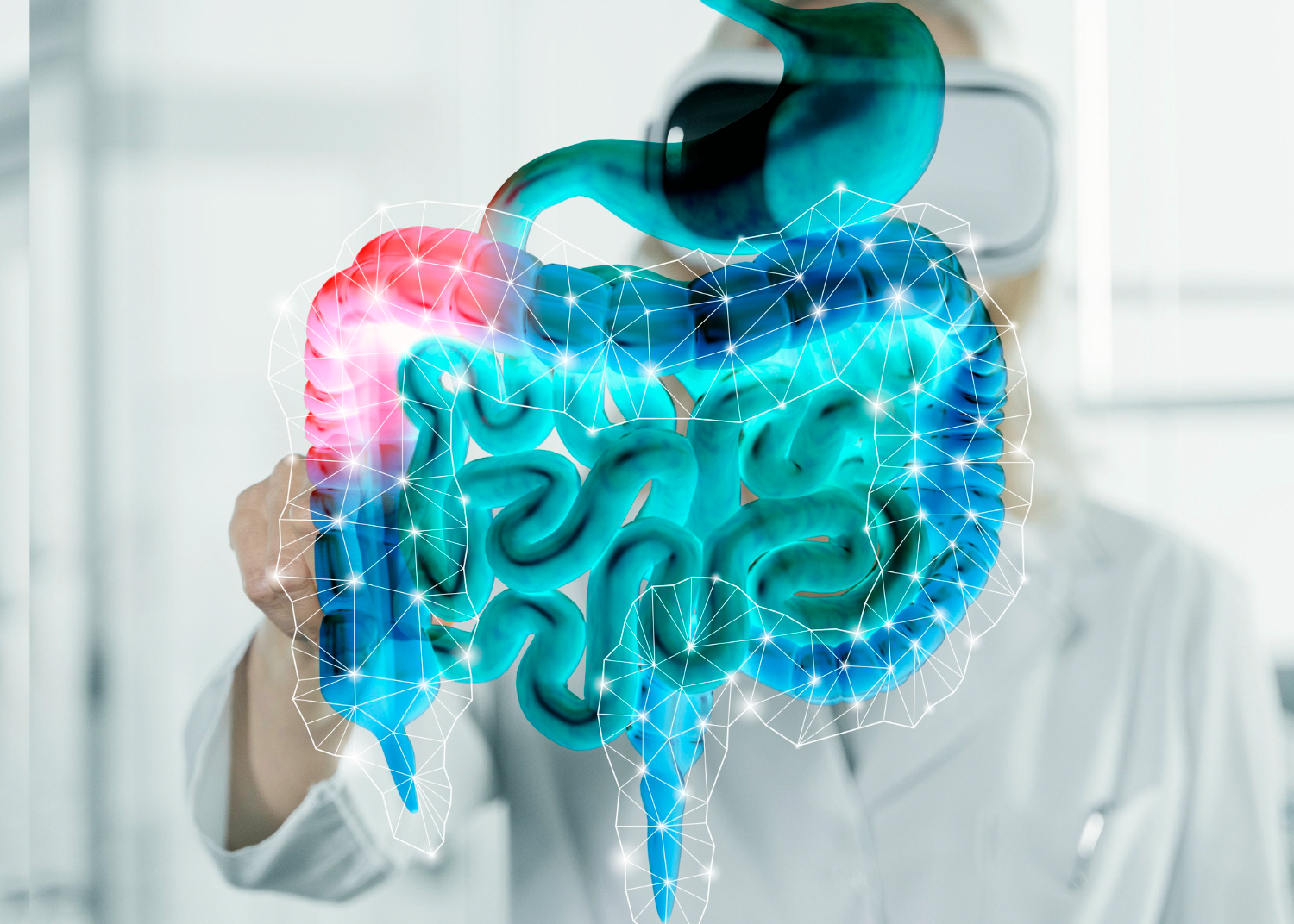 Bactérias do intestino